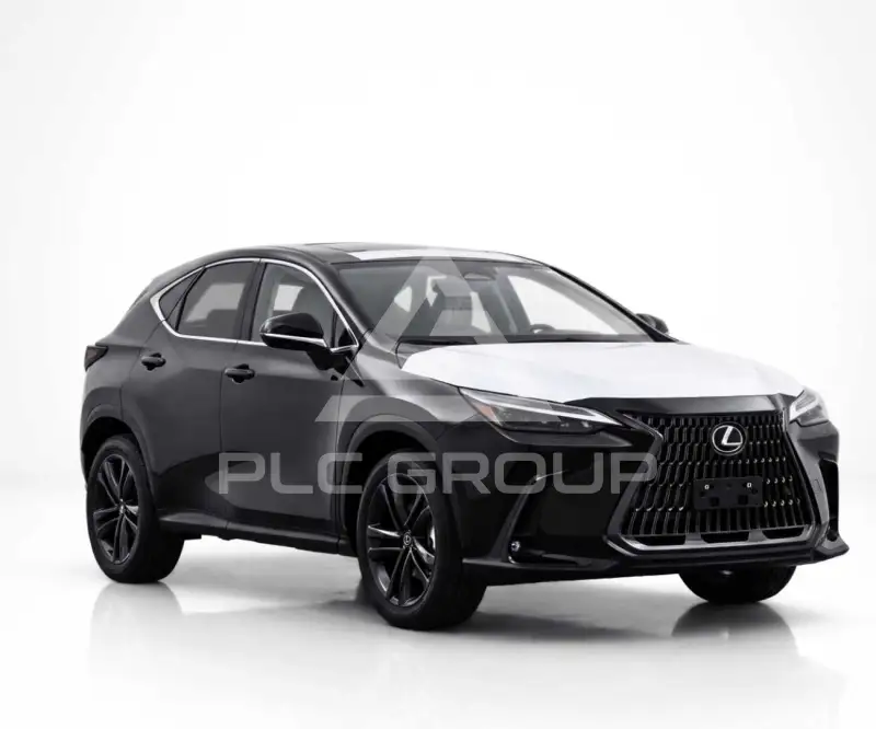 2025 Lexus LM300