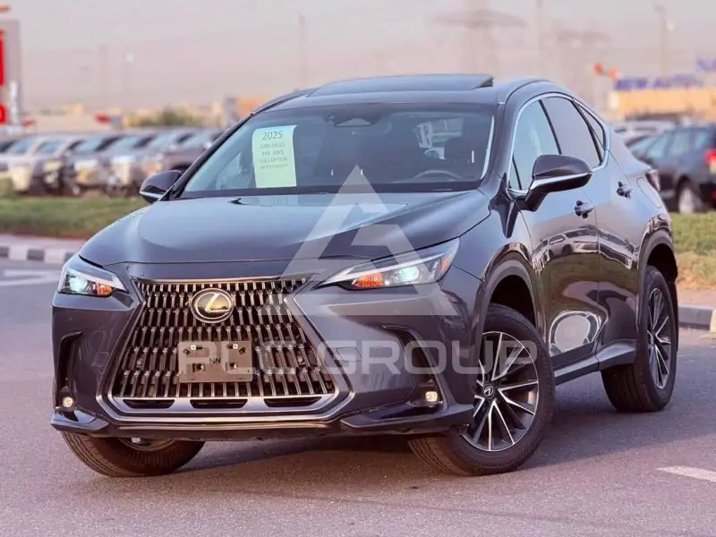 2025 Lexus NX250
