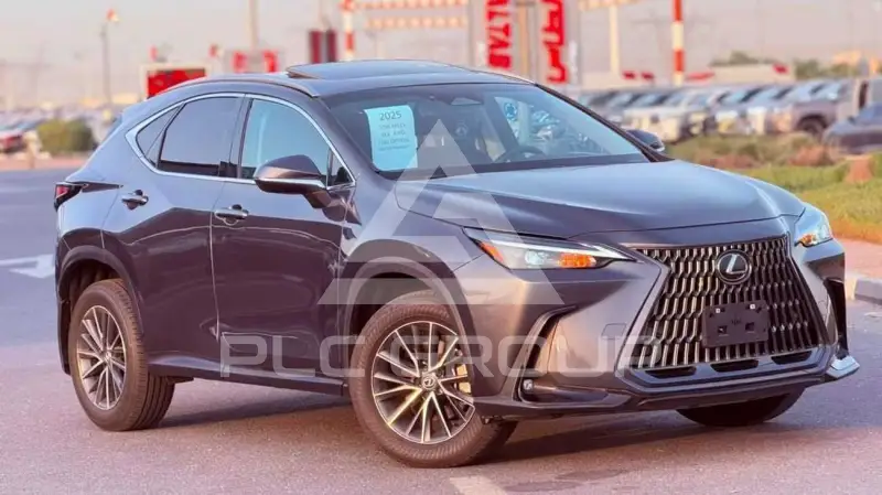 2025 Lexus NX250