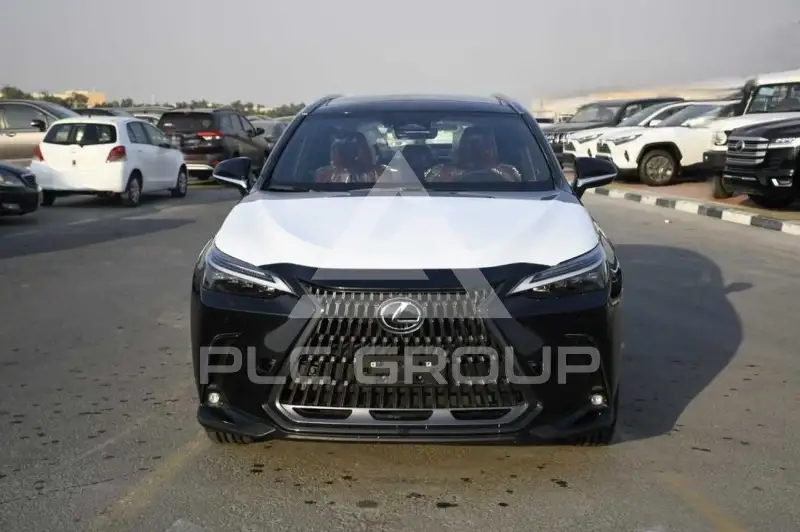 2025 Lexus NX250