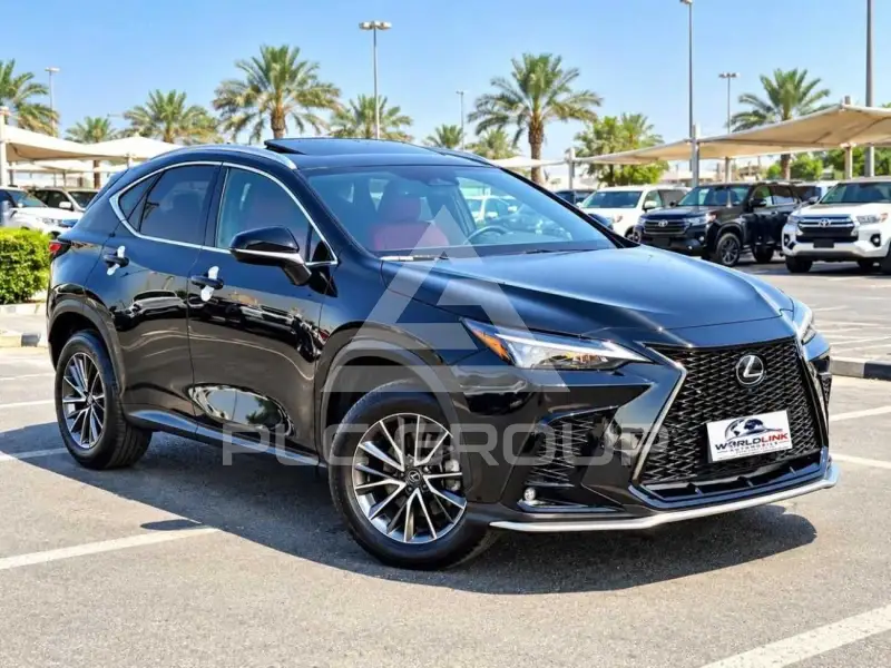2025 Lexus NX250