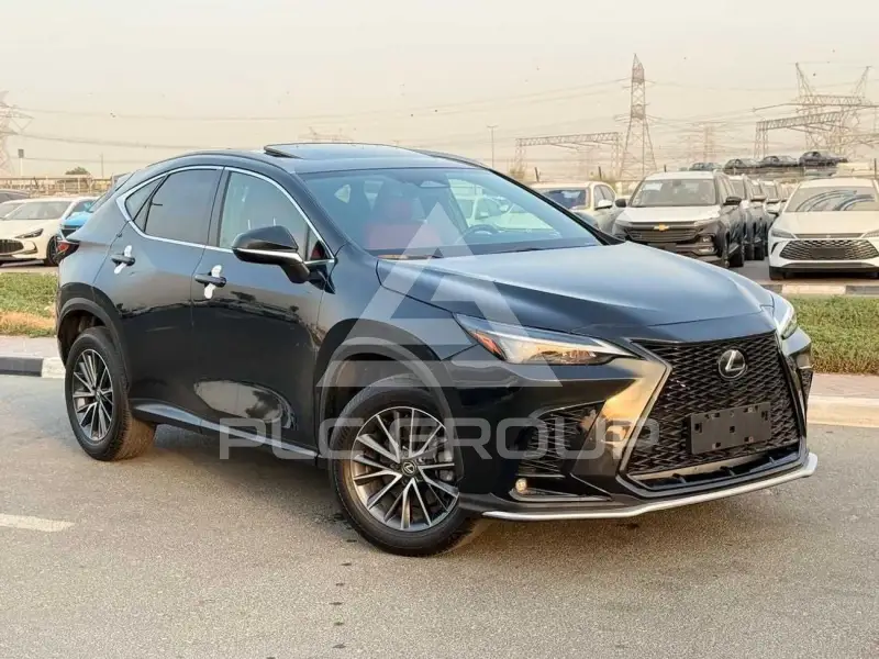 2025 Lexus NX250