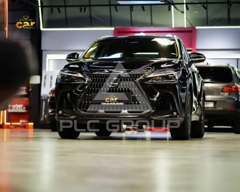 2025 Lexus NX250