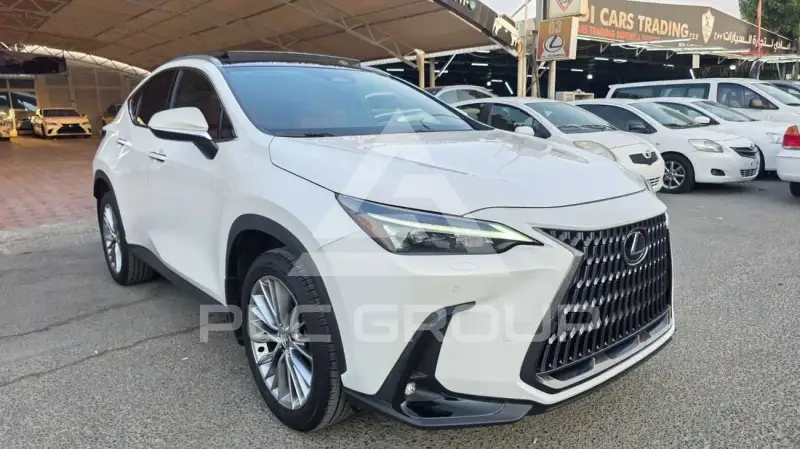 2025 Lexus NX250