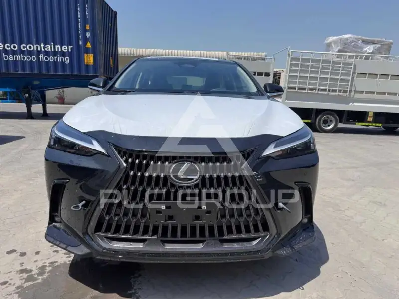 2025 Lexus NX250