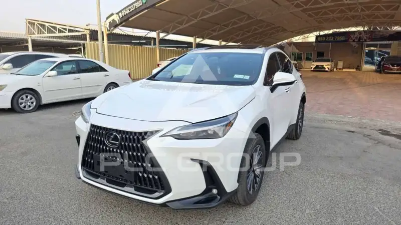 2025 Lexus NX250