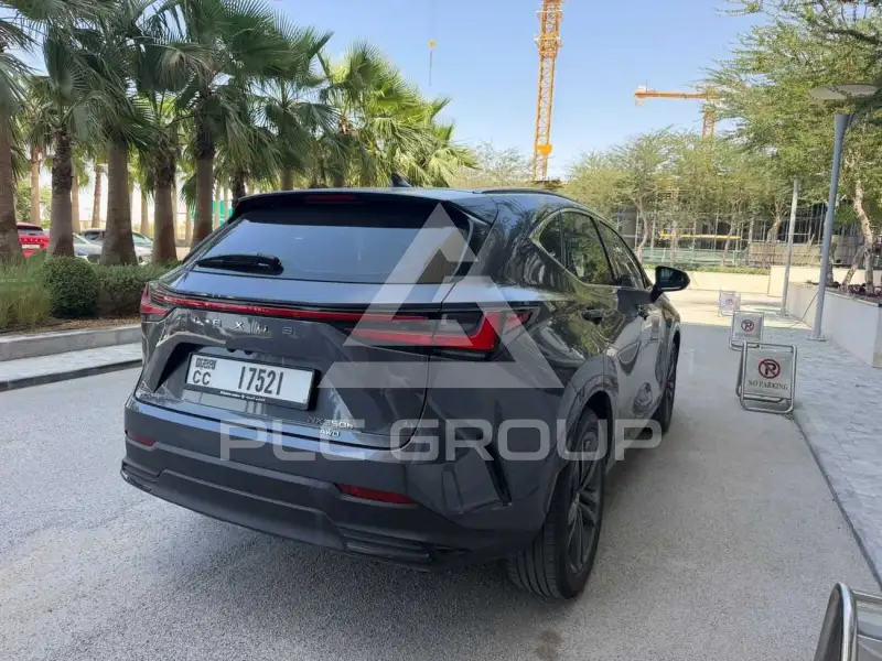 2025 Lexus NX250