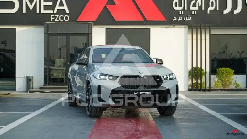 2026 BMW X6