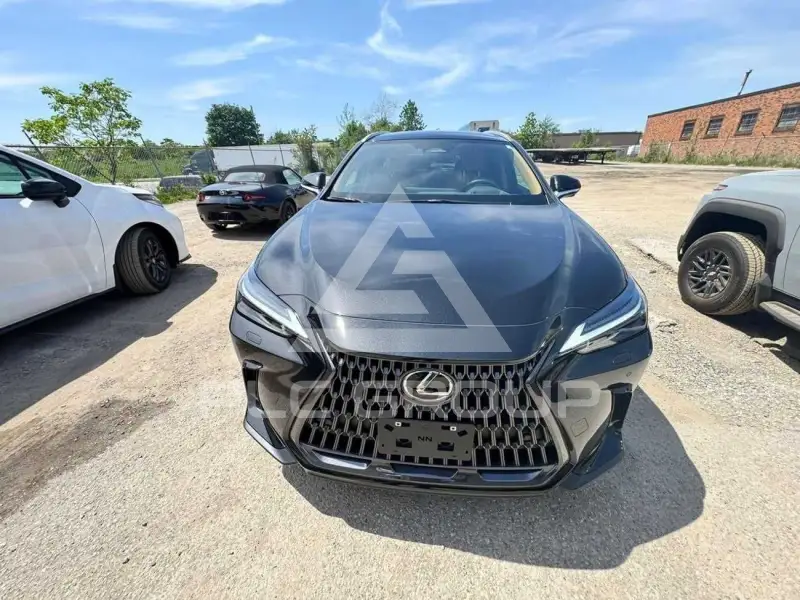 2026 Lexus NX250