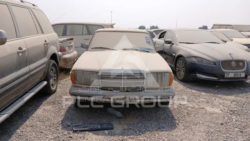 1977 Mercedes Benz Unknown