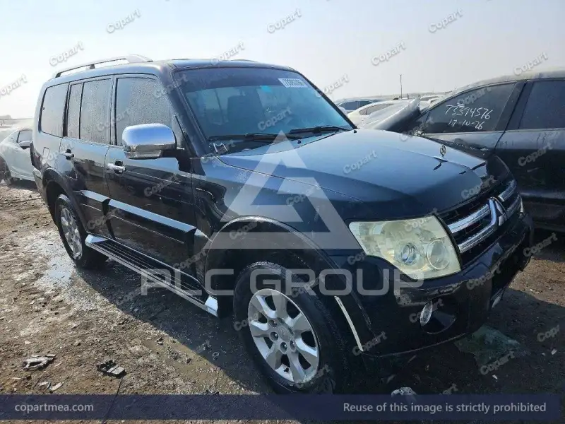 2008 Mitsubishi PAJARO