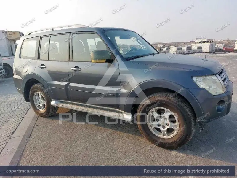 2009 Mitsubishi PAJARO