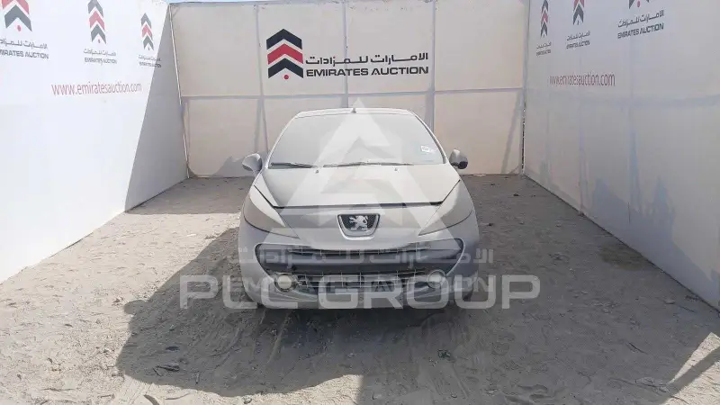 2009 Peugeot 207