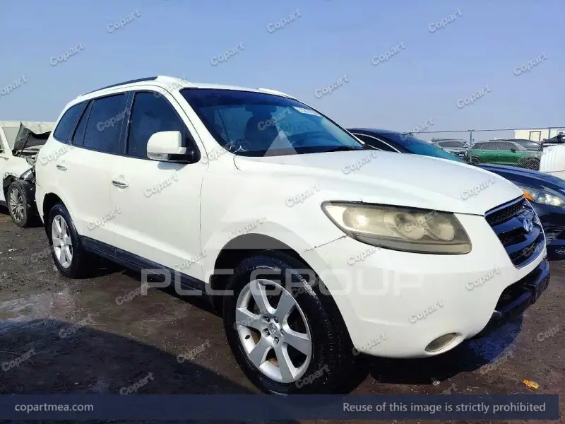 2009 Hyundai Santa Fe