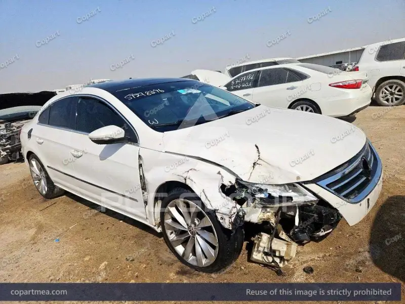 2009 Volkswagen Passat
