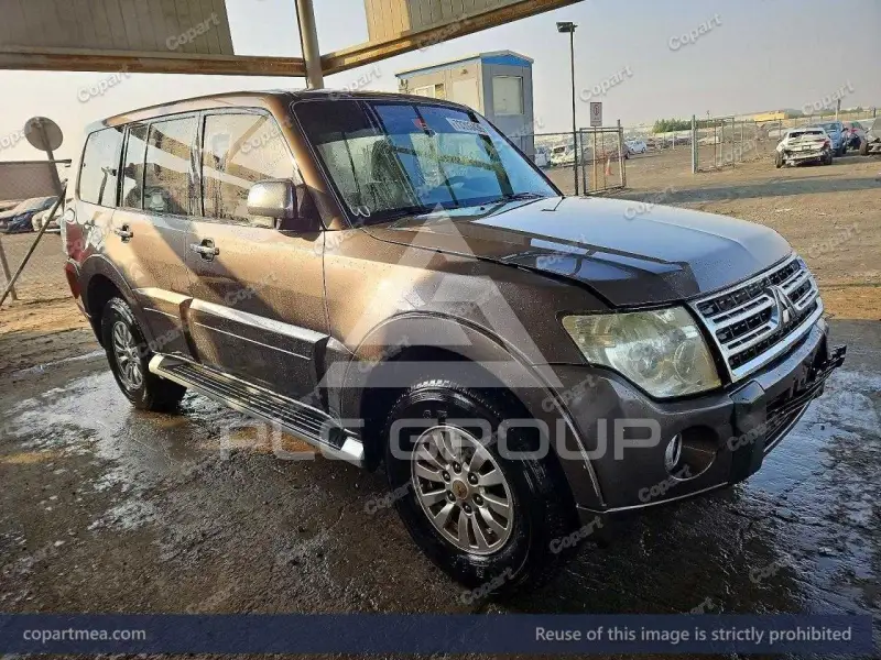2010 Mitsubishi PAJARO