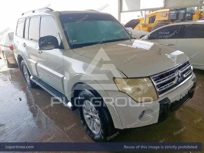 2010 Mitsubishi PAJARO