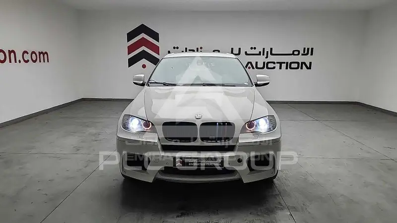 2010 BMW X6