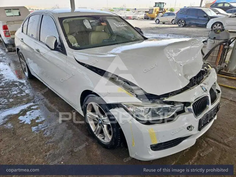2013 BMW 316