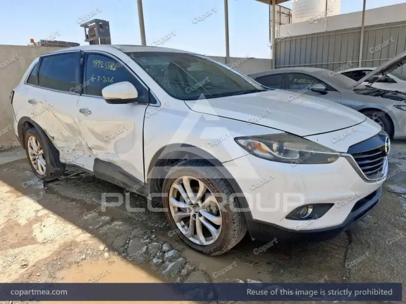 2013 Mazda CX-9