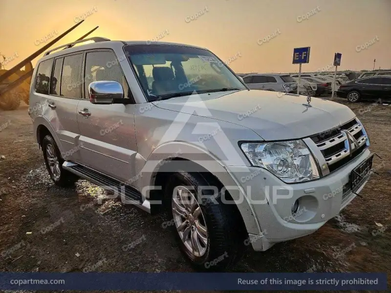 2014 Mitsubishi PAJARO