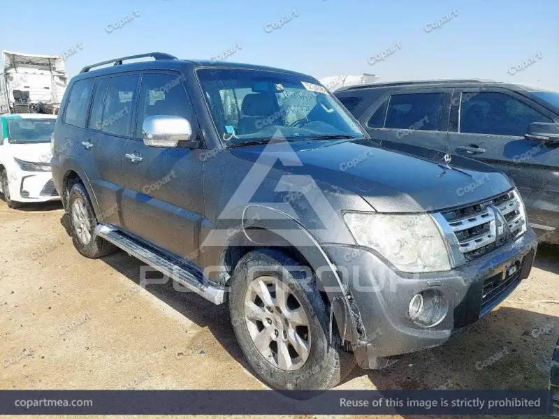 2014 Mitsubishi PAJARO