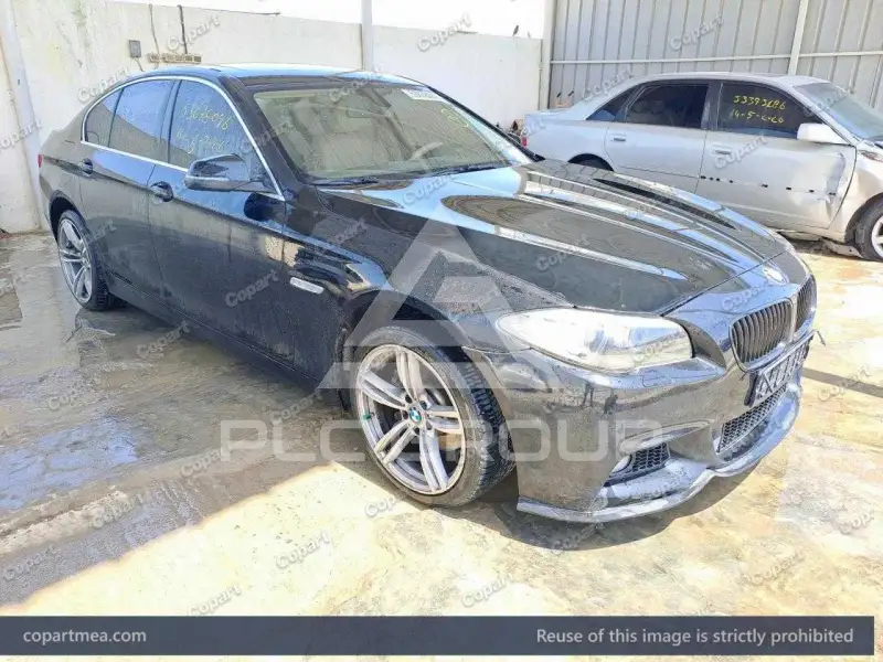 2015 BMW 520
