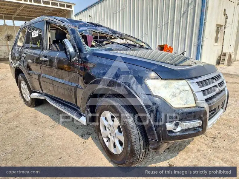 2016 Mitsubishi PAJARO