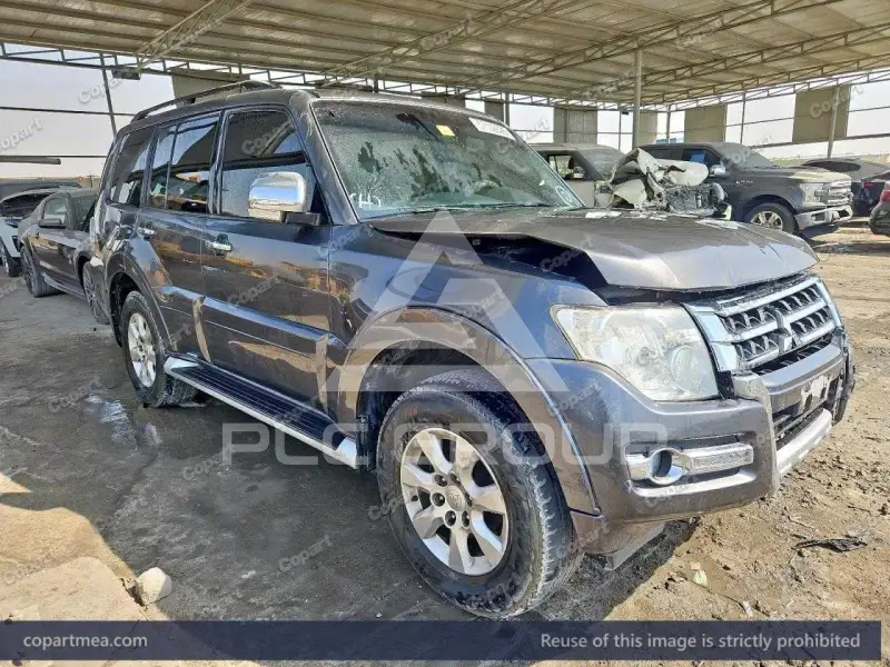 2016 Mitsubishi PAJARO