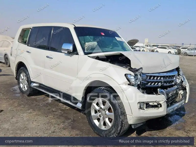 2017 Mitsubishi PAJARO