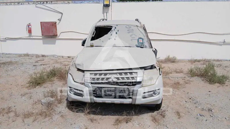 2017 Mitsubishi PAJARO