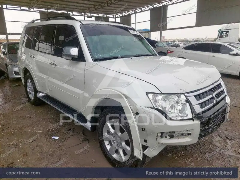 2017 Mitsubishi PAJARO
