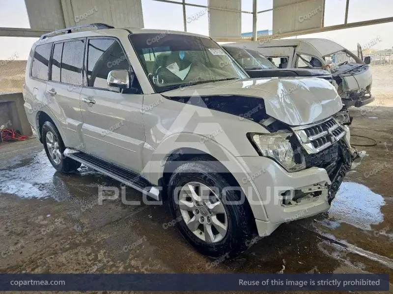 2017 Mitsubishi PAJARO