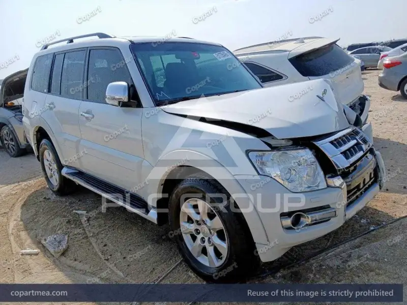 2017 Mitsubishi PAJARO