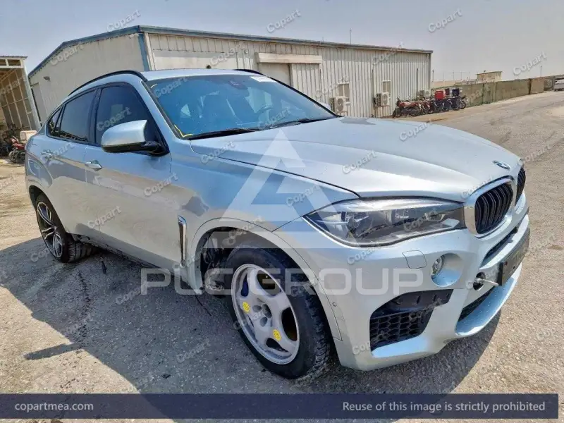 2017 BMW X6