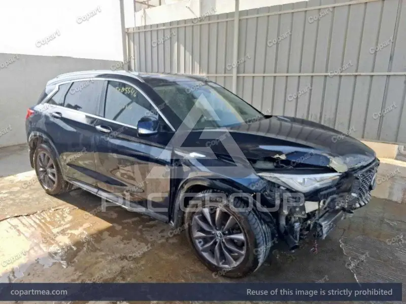 2019 Infinity QX50