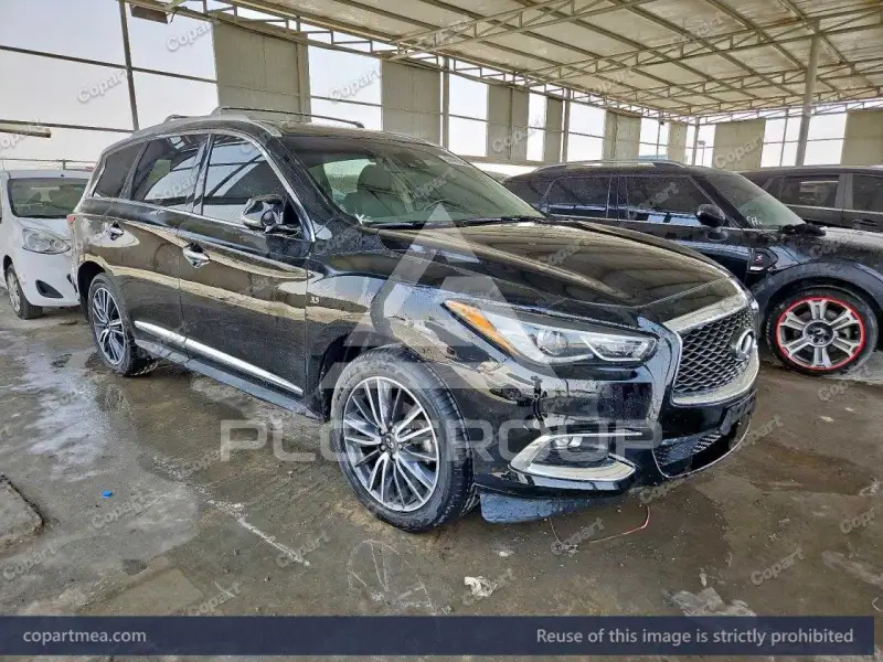 2019 Infinity QX60