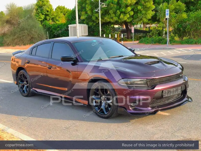2019 Dodge CHARGER