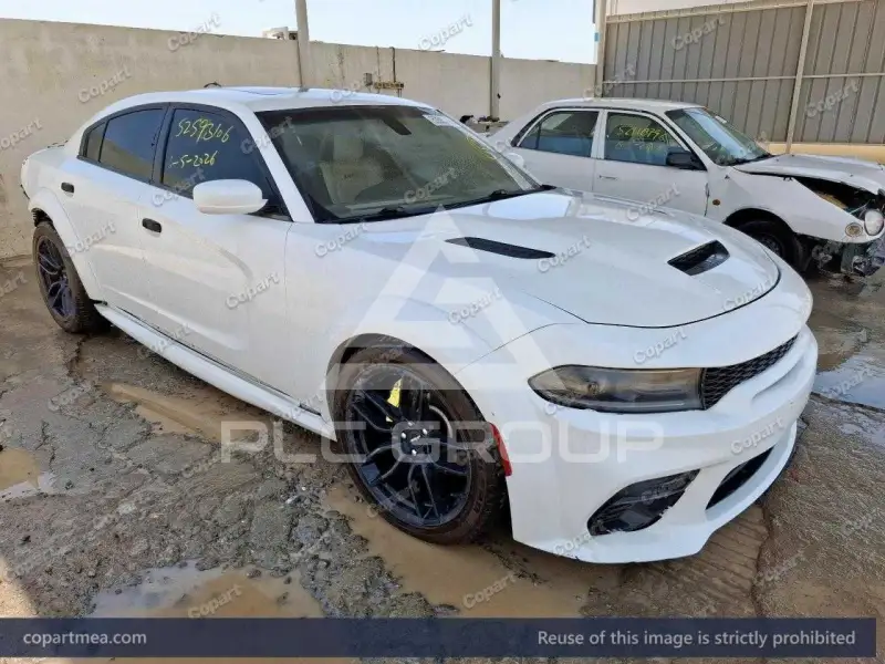 2019 Dodge CHARGER