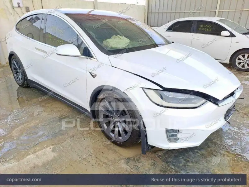 2019 Tesla Model S