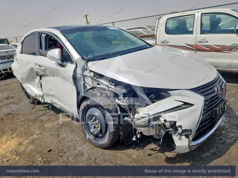 2019 Lexus NX300