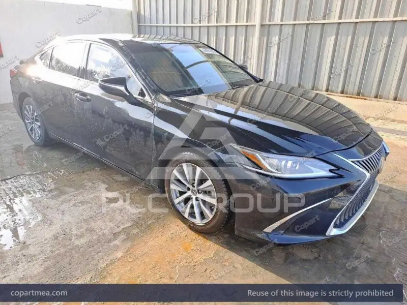 2019 Lexus ES300