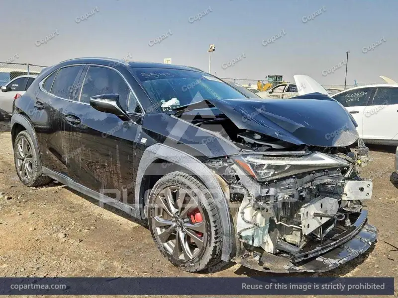 2019 Lexus UX