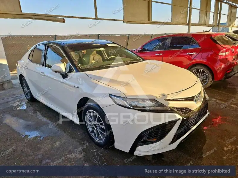 2019 Toyota CAMRY