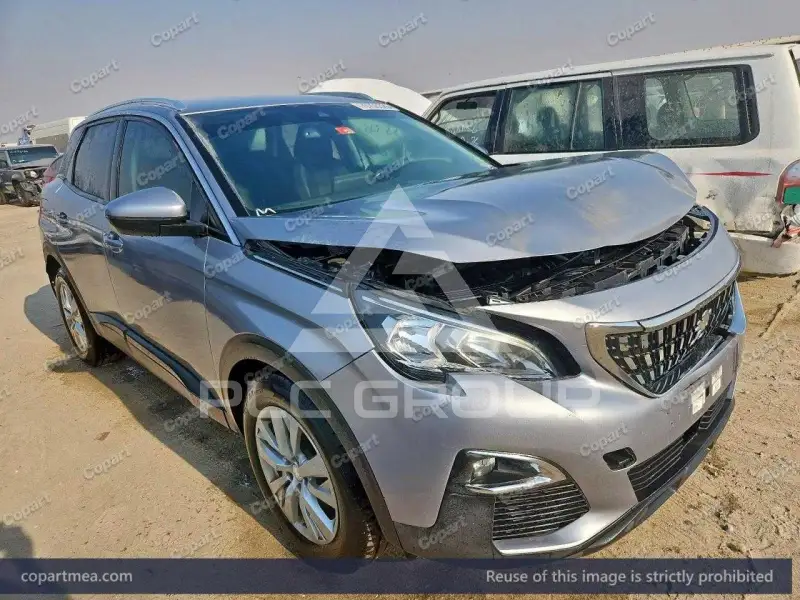 2019 Peugeot 3008