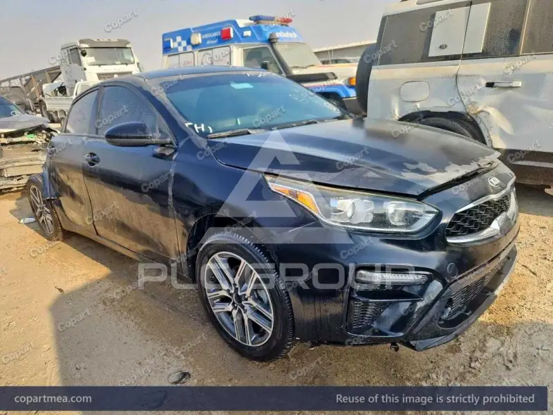 2019 KIA Forte