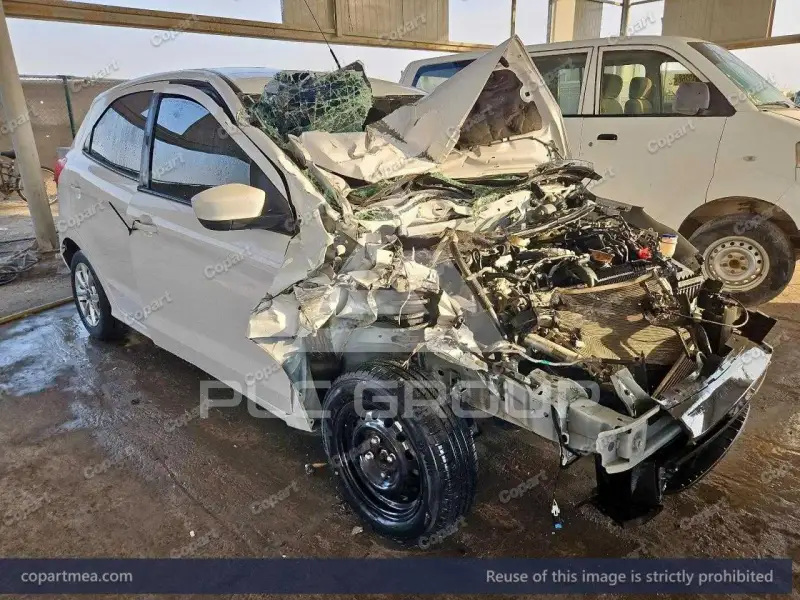 2019 Ford FIGO