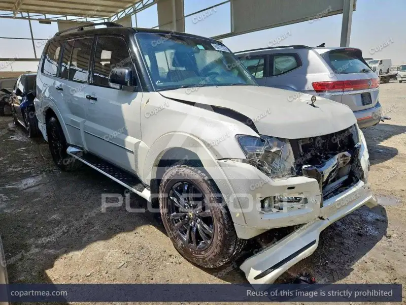 2020 Mitsubishi PAJARO