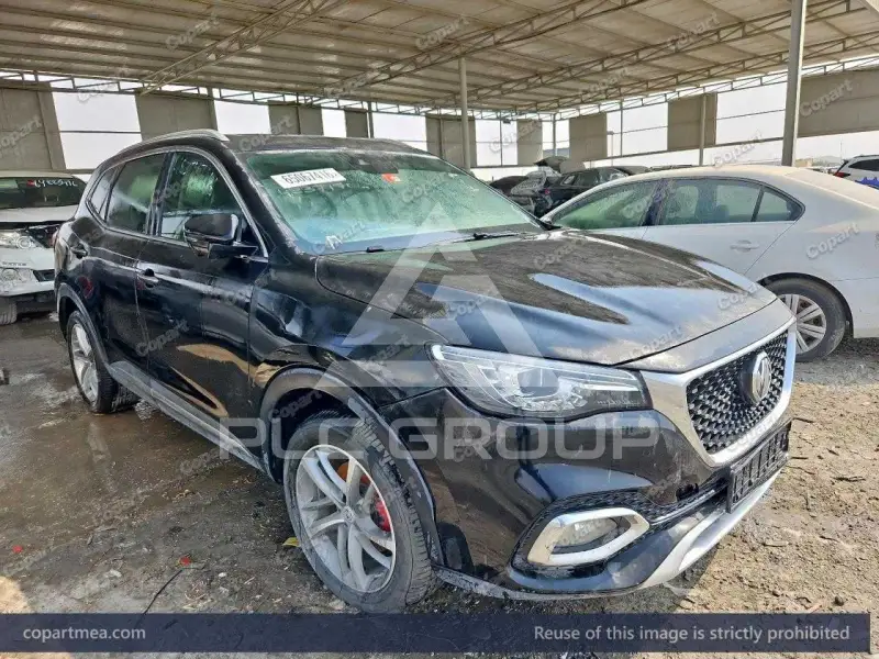 2022 MG 