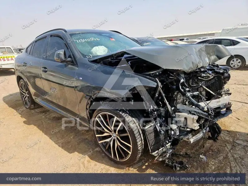 2023 BMW X6